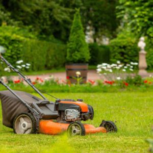 Landscaping