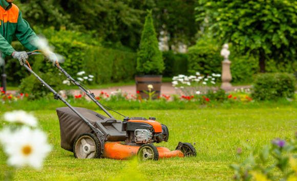 Landscaping